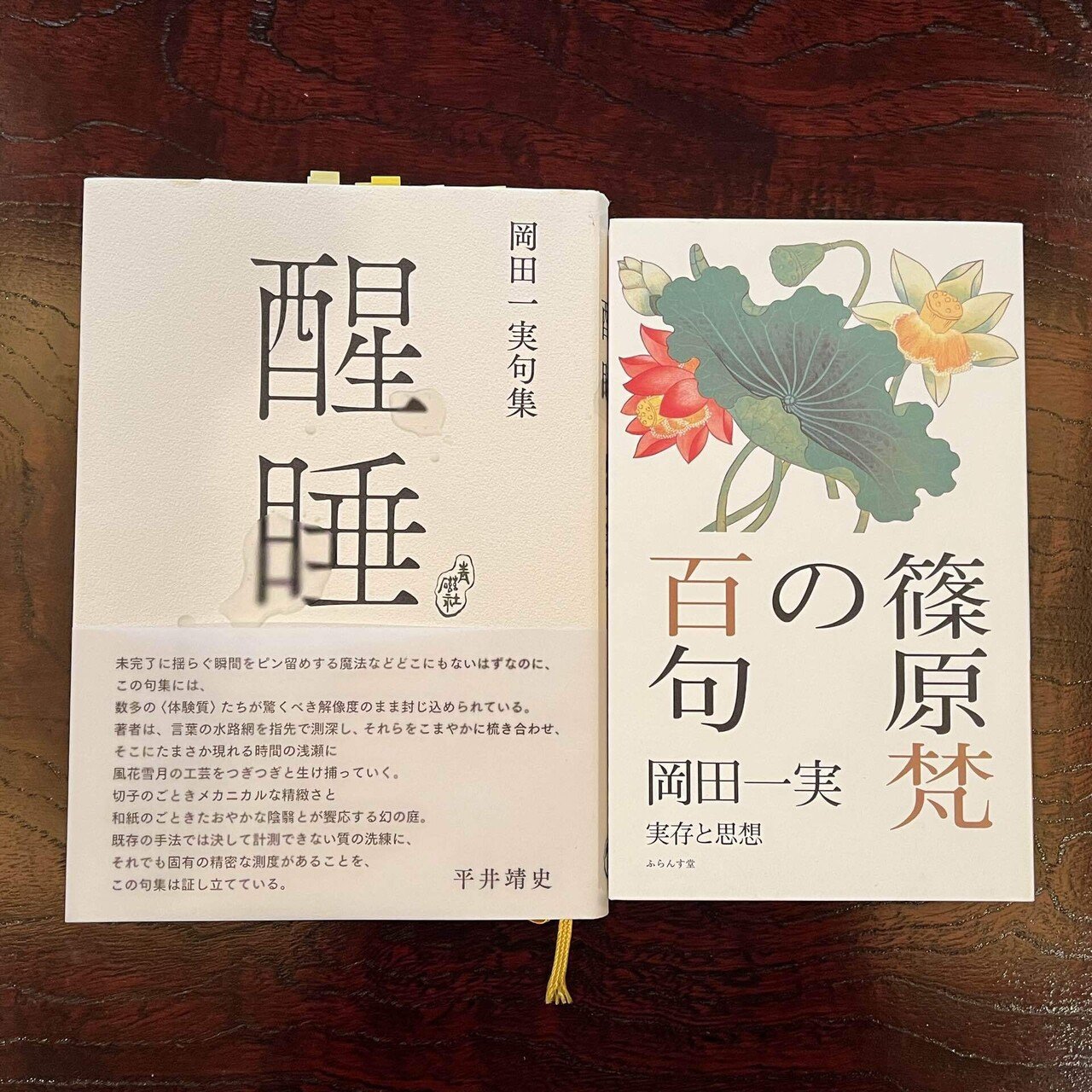 岡田一実『句集 醒睡』『篠原梵の百句』｜日本俳句教育研究会