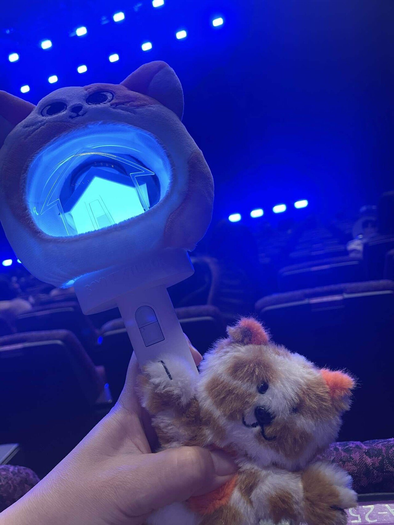 BOYNEXTDOOR 横浜 神奈川 パシフィコ 限定 セット 6枚 デビューから応援してきてよかった(涙)、感動のパシフィコ横浜