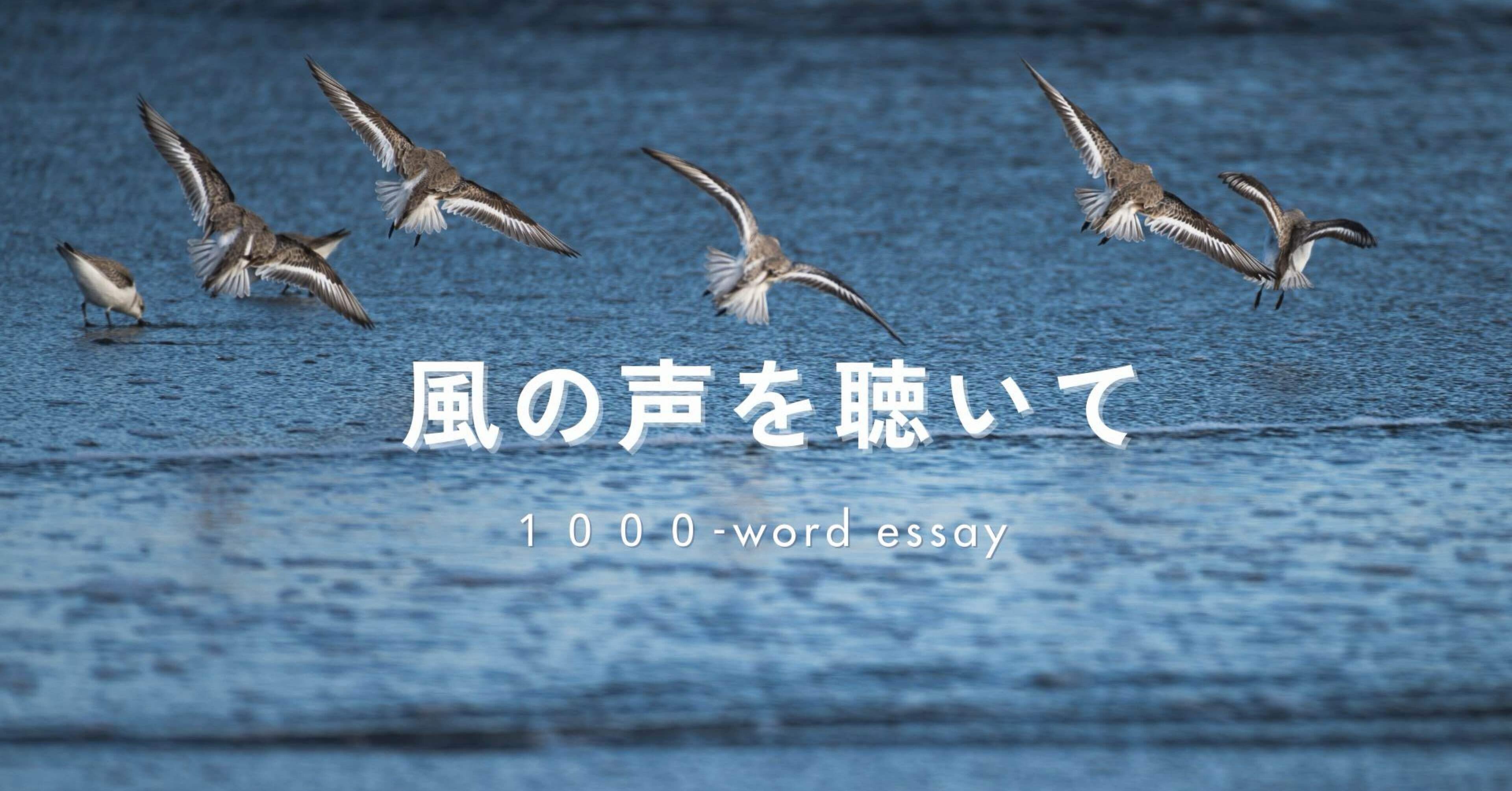 自然の中の珍鳥たち｜coburu