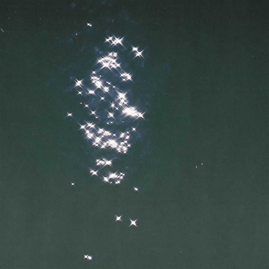 はじめてのフィルムカメラ｜かまた