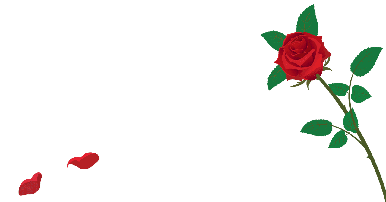 ジヨン子様　魔法の薔薇
