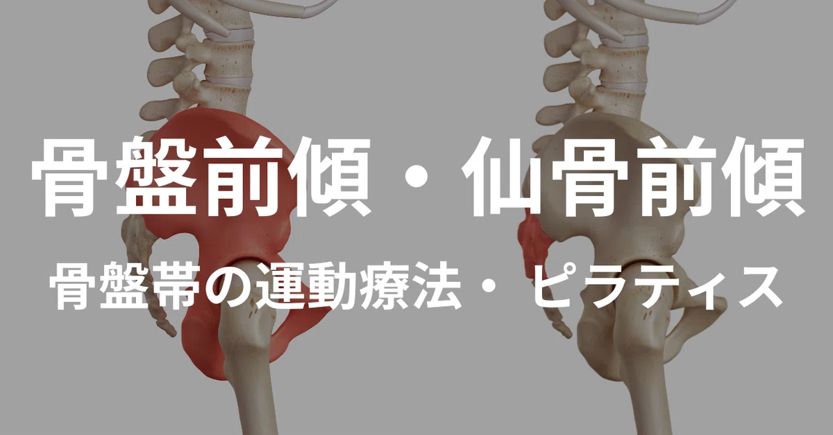 「骨盤前傾」「仙骨前傾」の解釈の違いと骨盤帯に対する運動療法・ ピラティス！｜薬師寺偲【理学療法士＆ピラティス専門家】