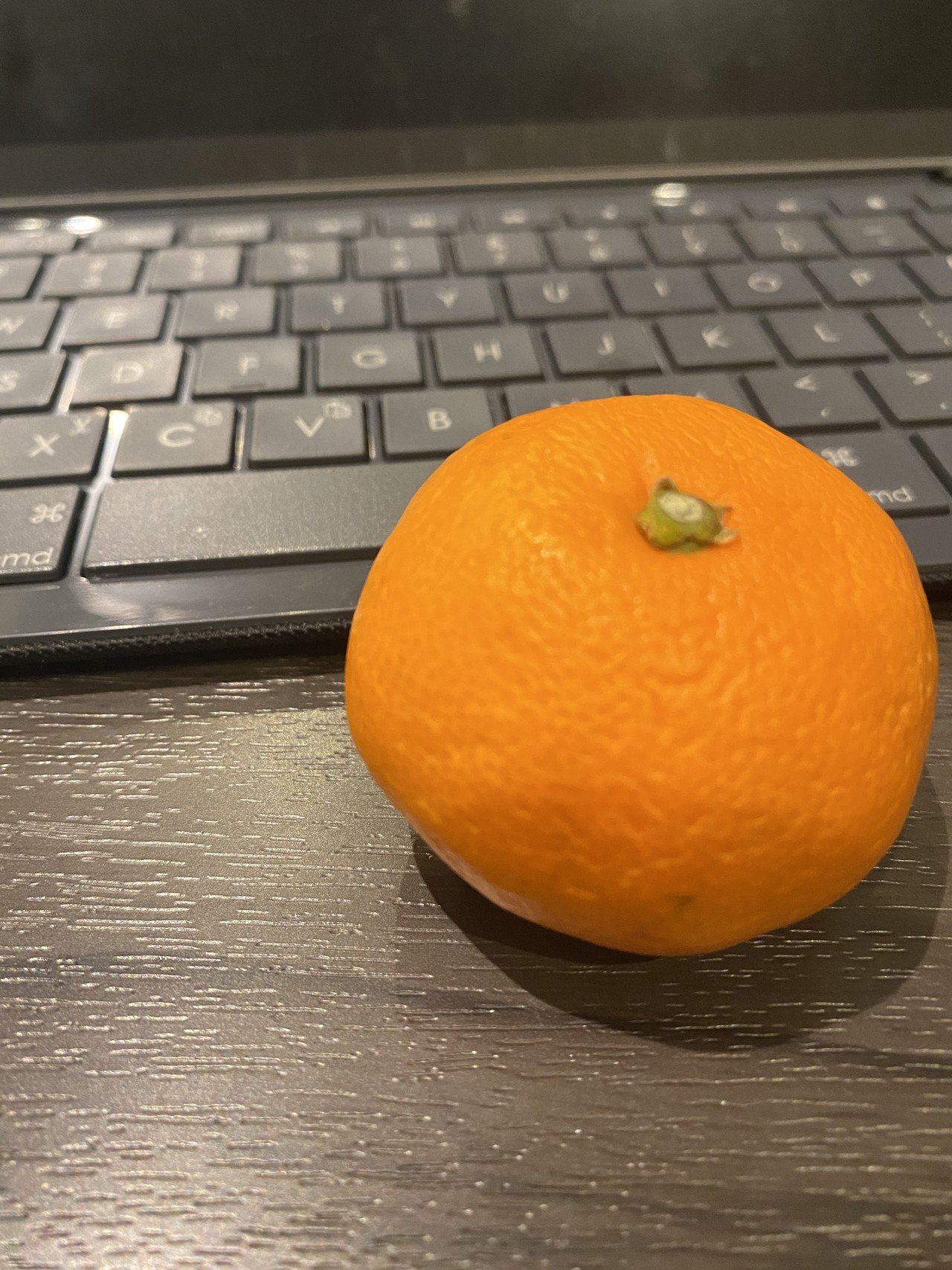 冬といえば いただきました 小野由衣子 Note