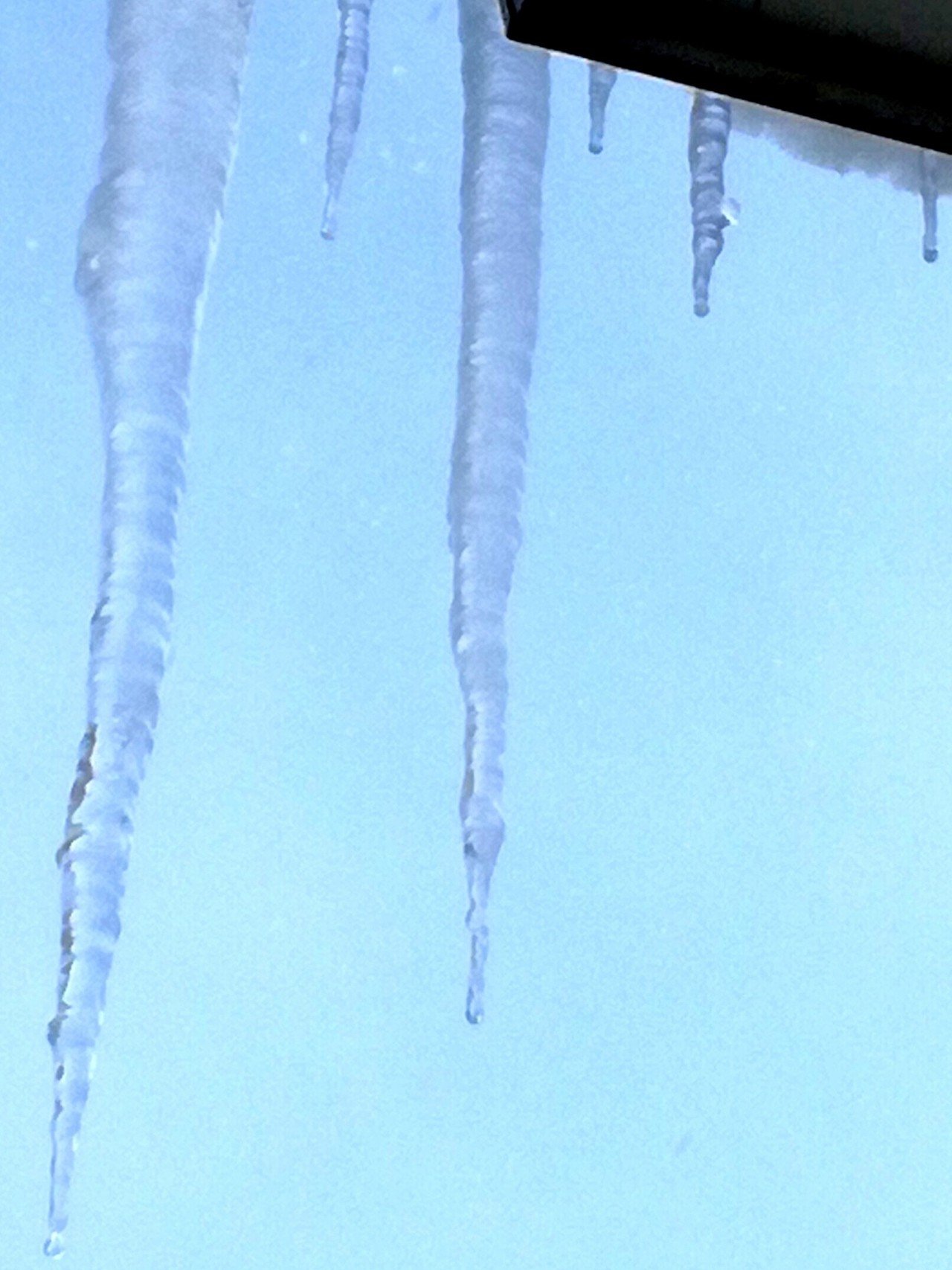 久しぶりに会った同級生に Note読んでるよ と言われ 驚いたドグ子 D 後輩 からも Note読んでます 青森の風景に癒やされます 恩師から届いた年賀状にも Note読んでます ドグ子パワーでが Switch 山田スイッチ Note