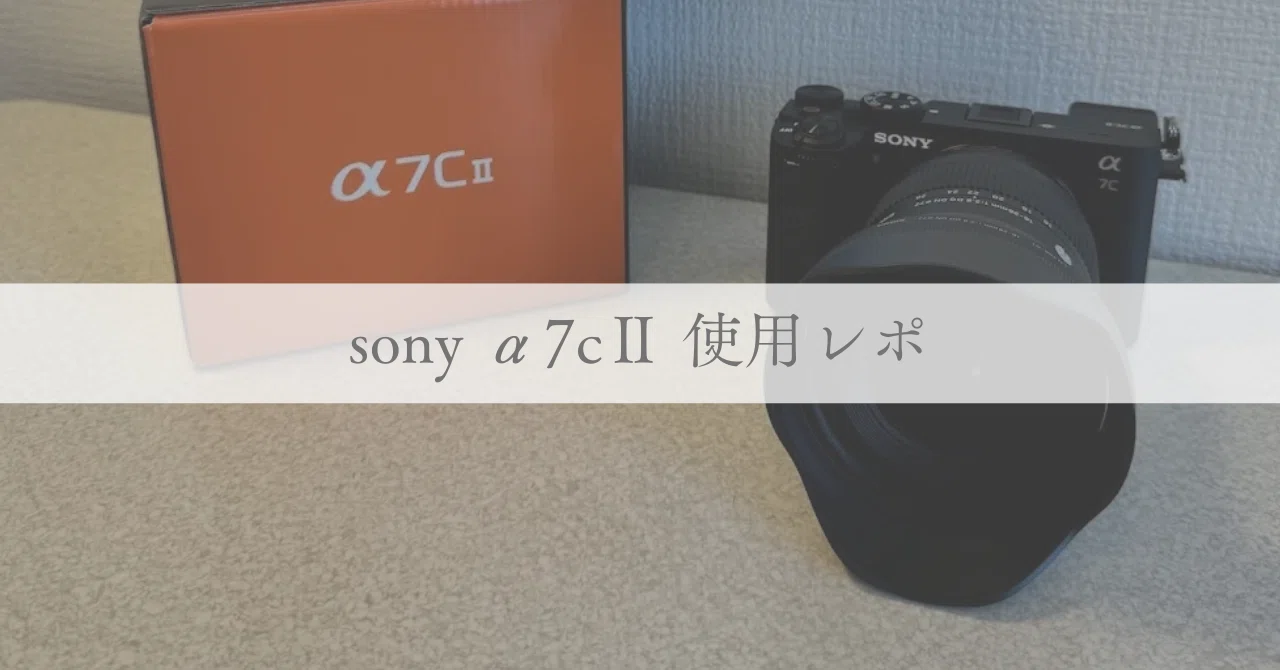 sony α7cⅡ 使用レポ｜miyuki | 建築設計者の暮らしと学び