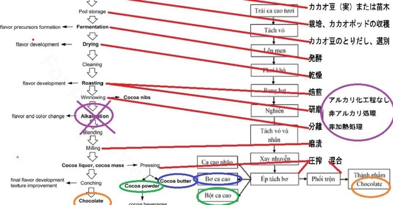 ベトナムのカカオ産業をふりかえる：カカオvsコーヒーの時代から、高