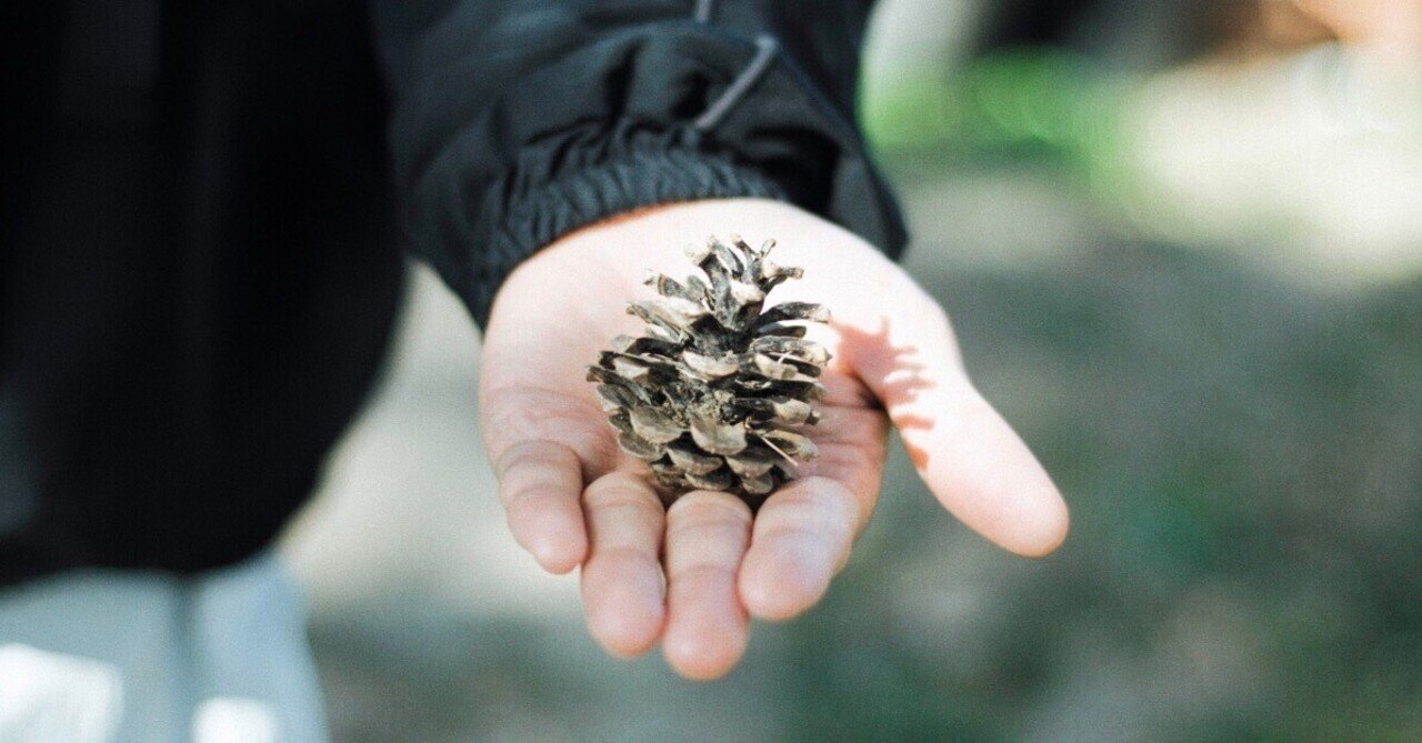 専用、最後の写真のみ R0000032-1100x733.jpg