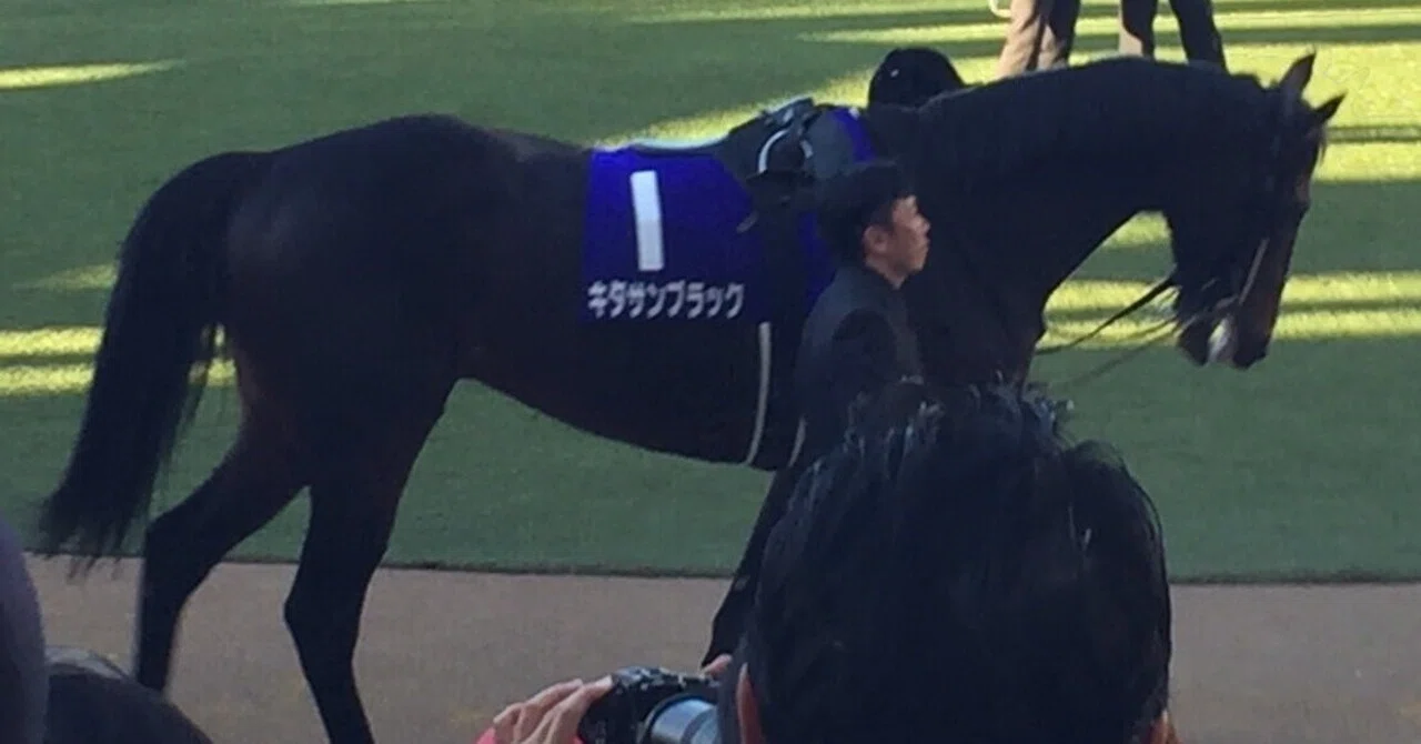 JRA］G1フェブラリーステークス2025お疲れ会＆使用済みサイン