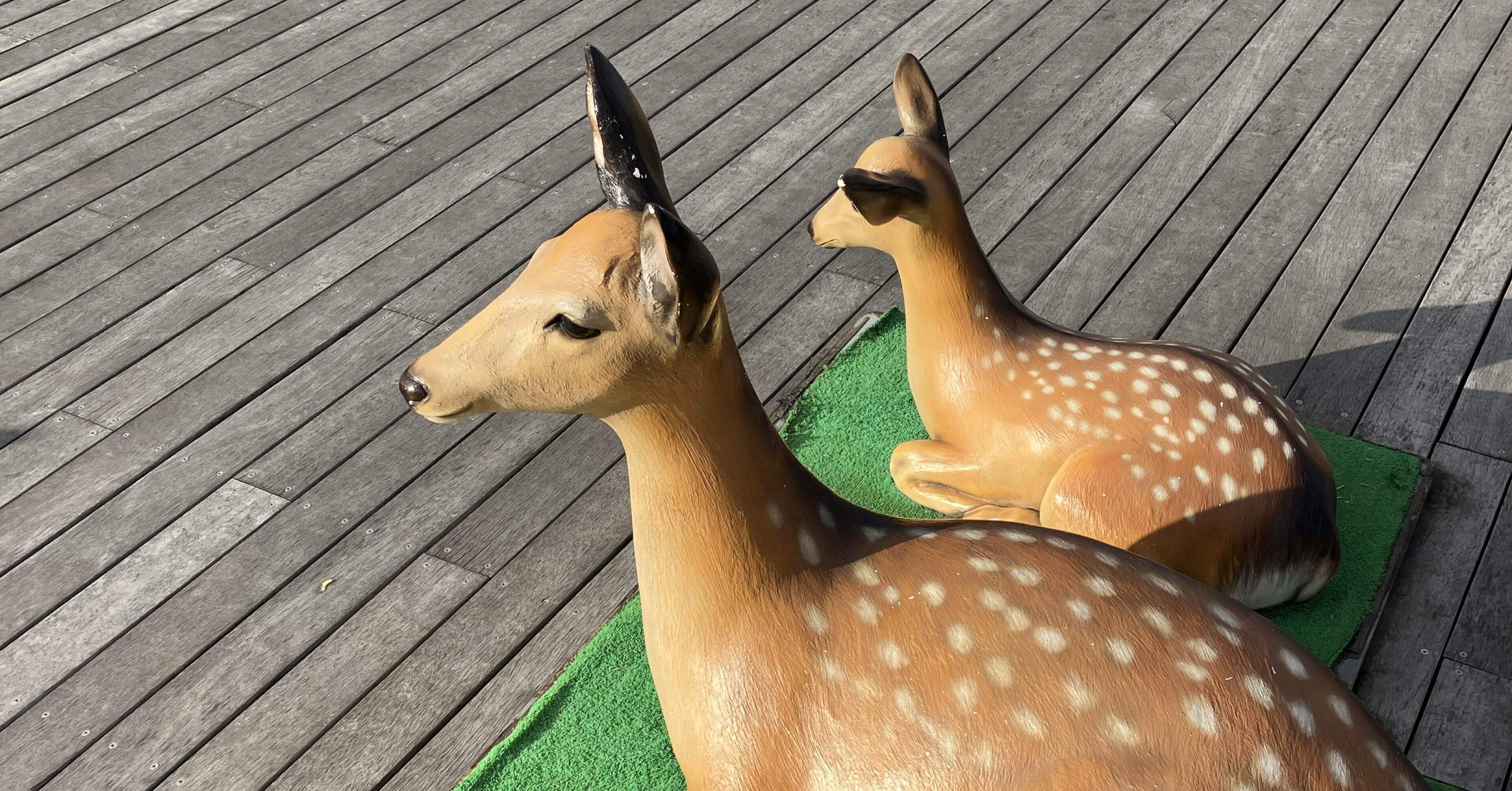 9dd4de4b1fa278ccff019c73e4d0f5