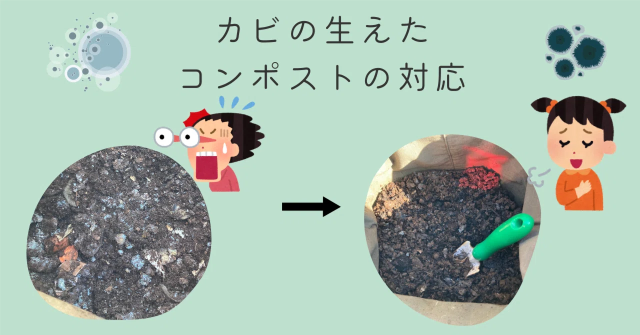 青カビの生えたコンポスト|和歌山食と暮らしプロジェクト