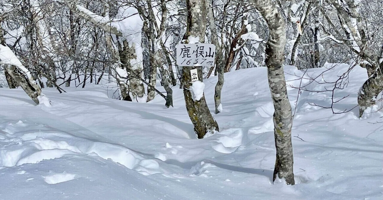 美しい雪景色をスノーシューで【群馬鹿俣山】｜serico