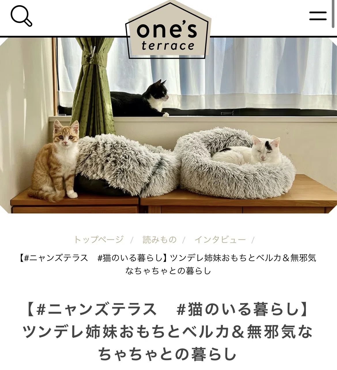 我が家の猫がananデビュー🐈｜オゼキカナコ