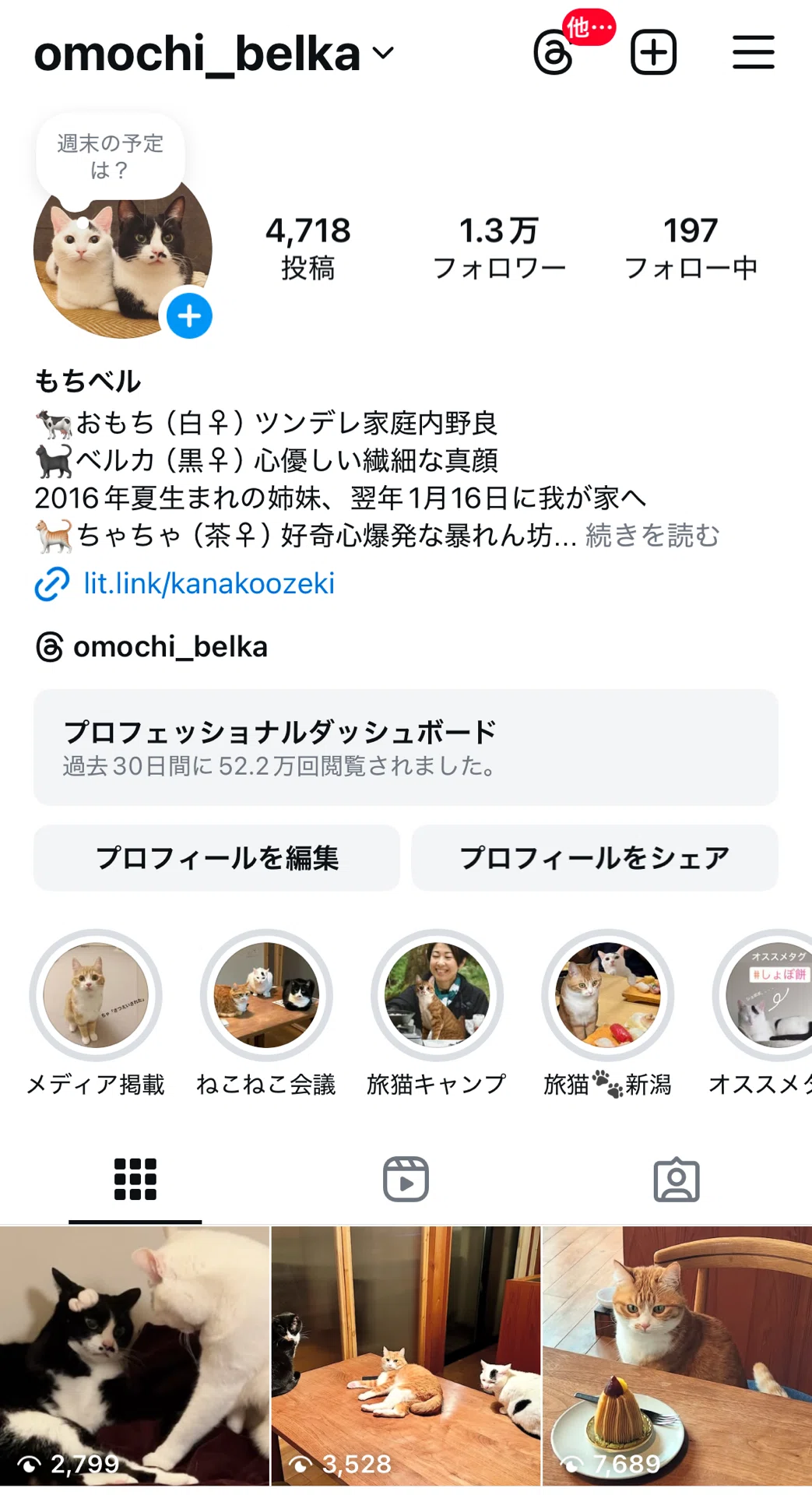 我が家の猫がananデビュー🐈｜オゼキカナコ