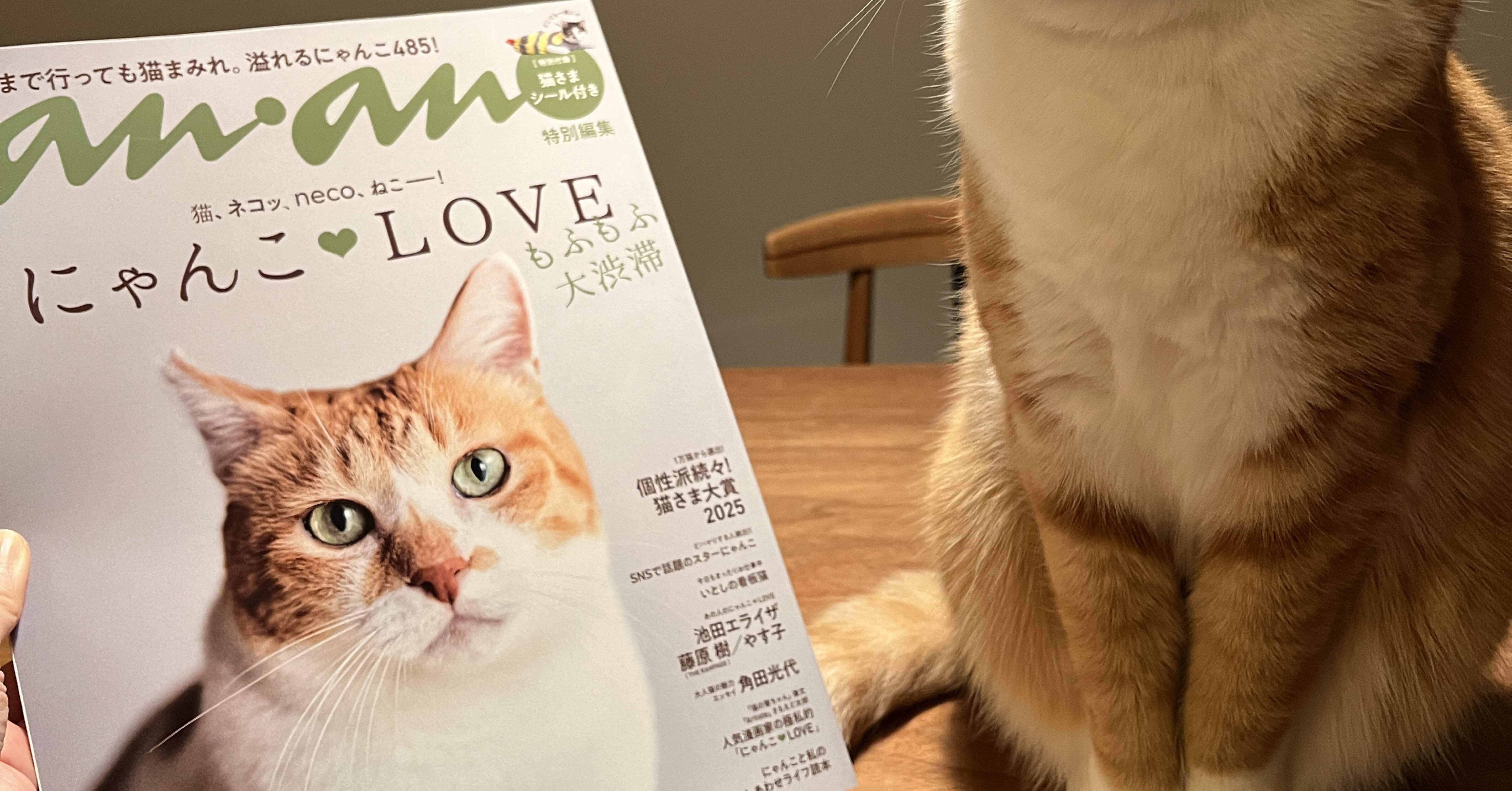 0517f063c696c8a96a75b317137f1a