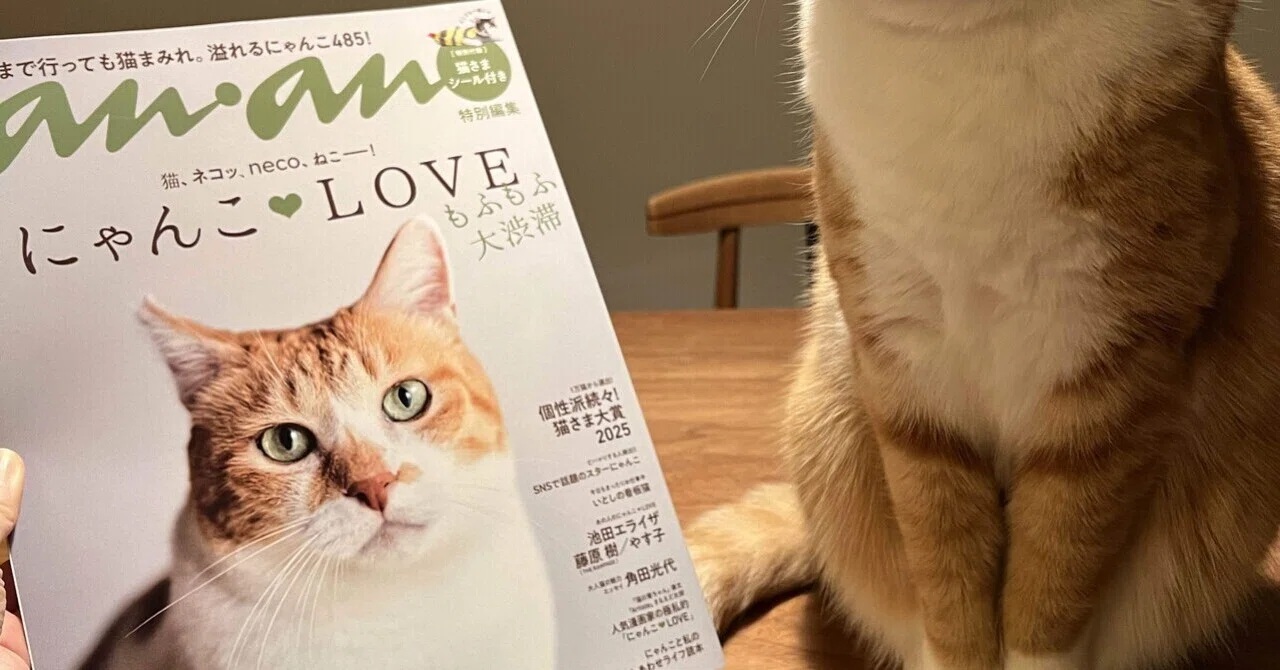 にゃんこLOVEさま 皆さんのにゃんこ写真を待っています！ anan「にゃんこLOVEムック・猫