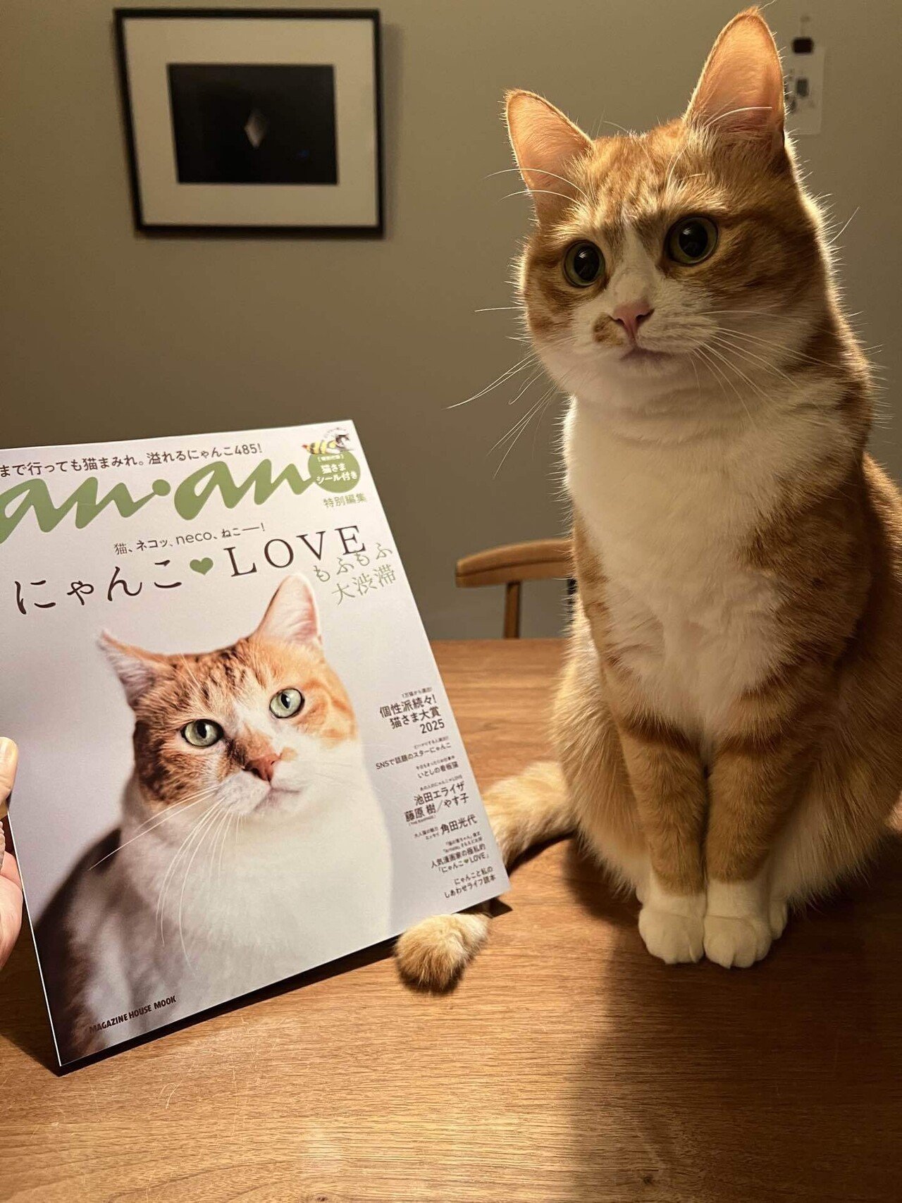 我が家の猫がananデビュー🐈｜オゼキカナコ