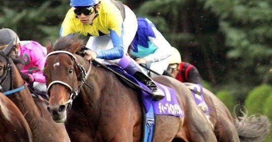 奇跡の英雄譚ーディープインパクト 前編｜しゅうご