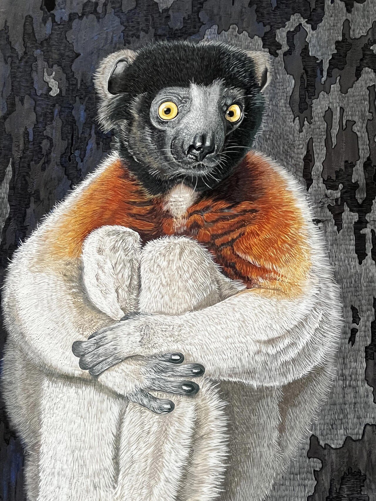 昔描いた絶滅危惧種の猿の模写絵画 目測だとやはり歪んでしまって、元