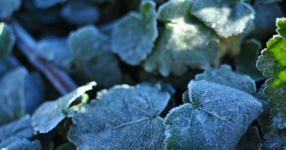 母は素敵な女性だけど 私はそんな母が怖い まゆこ Note