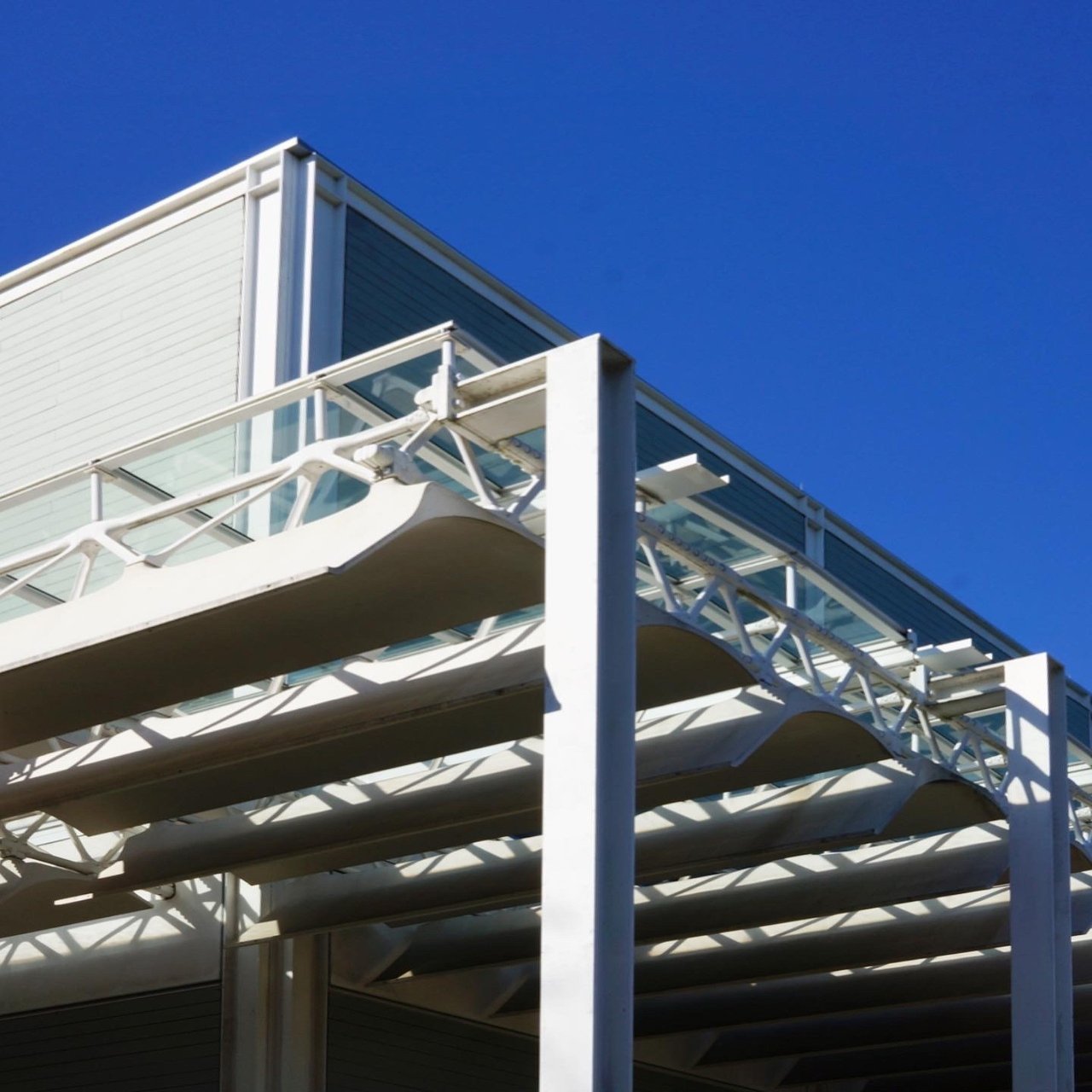 12月のテキサス アゲイン その メニル コレクション Kezama Note