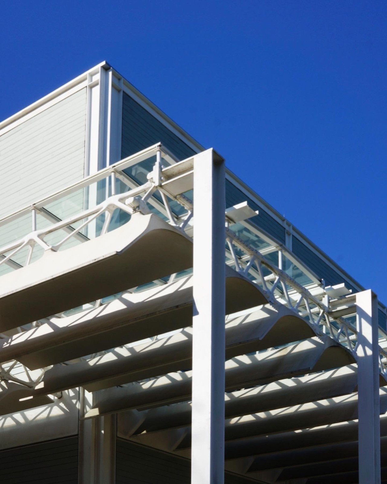 12月のテキサス アゲイン その メニル コレクション Kezama Note 12月のテキサス アゲイン その メニル コレクション Kezama Note