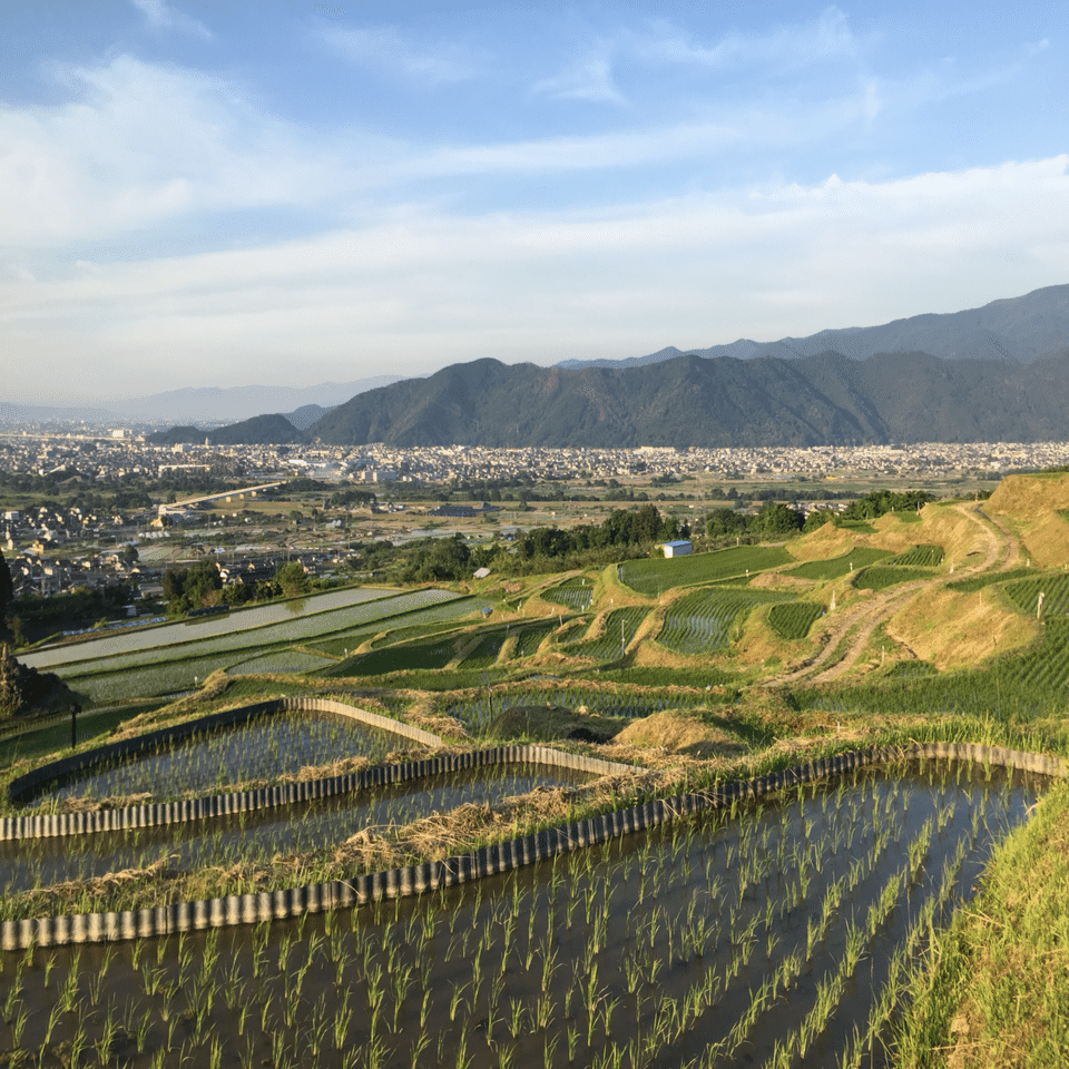 旅行中の印象的な景色③～姨捨の棚田•古今和歌集で詠れた絶景～｜旅