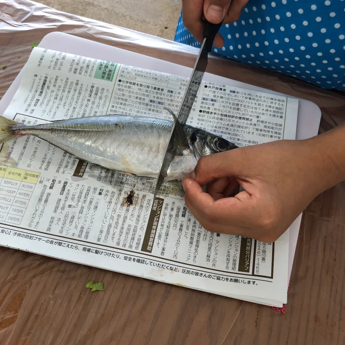 【レシピのことば】 「切る」と言う動作について|古谷 真知子:家庭料理のコンシェルジュ