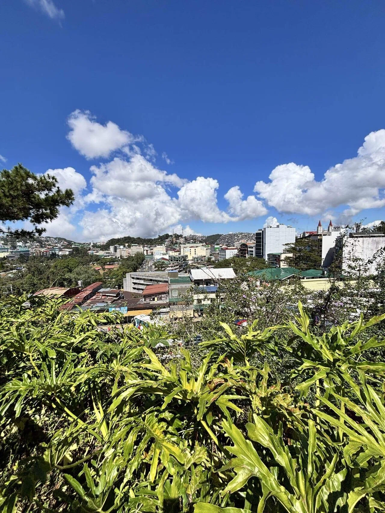 🇵🇭フィリピン・Baguio⛰️1900年🇺🇸米軍が開拓した標高1500mの避暑