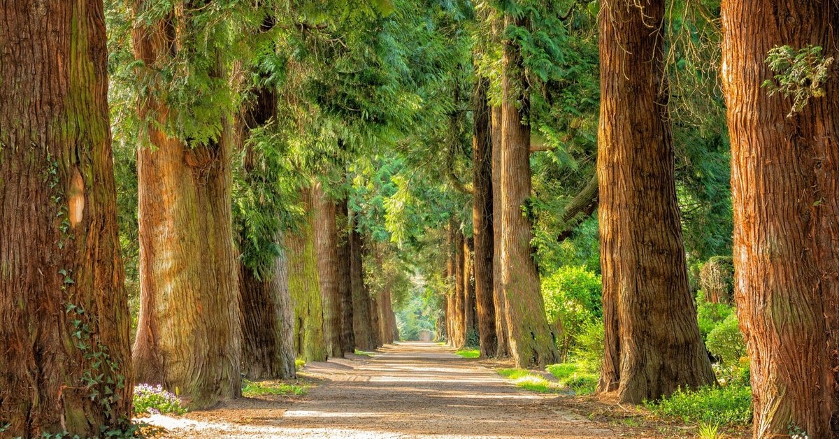 霊感とは何か?私たち人間の心の奥底に眠っている未知なる力を 霊感とは何か?私たち人間の心の奥底に眠っている未知なる力を