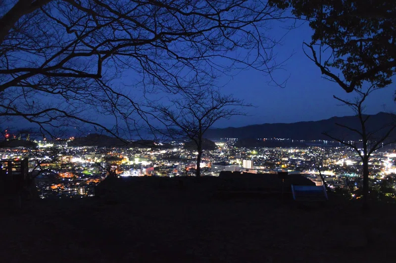 佐伯城と 夜景 おおの たつや Note