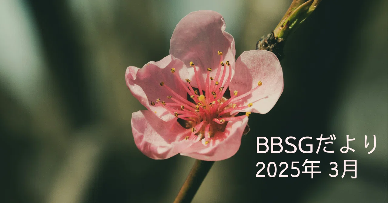 BBSGだより 2025年3月 棚卸し｜pee
