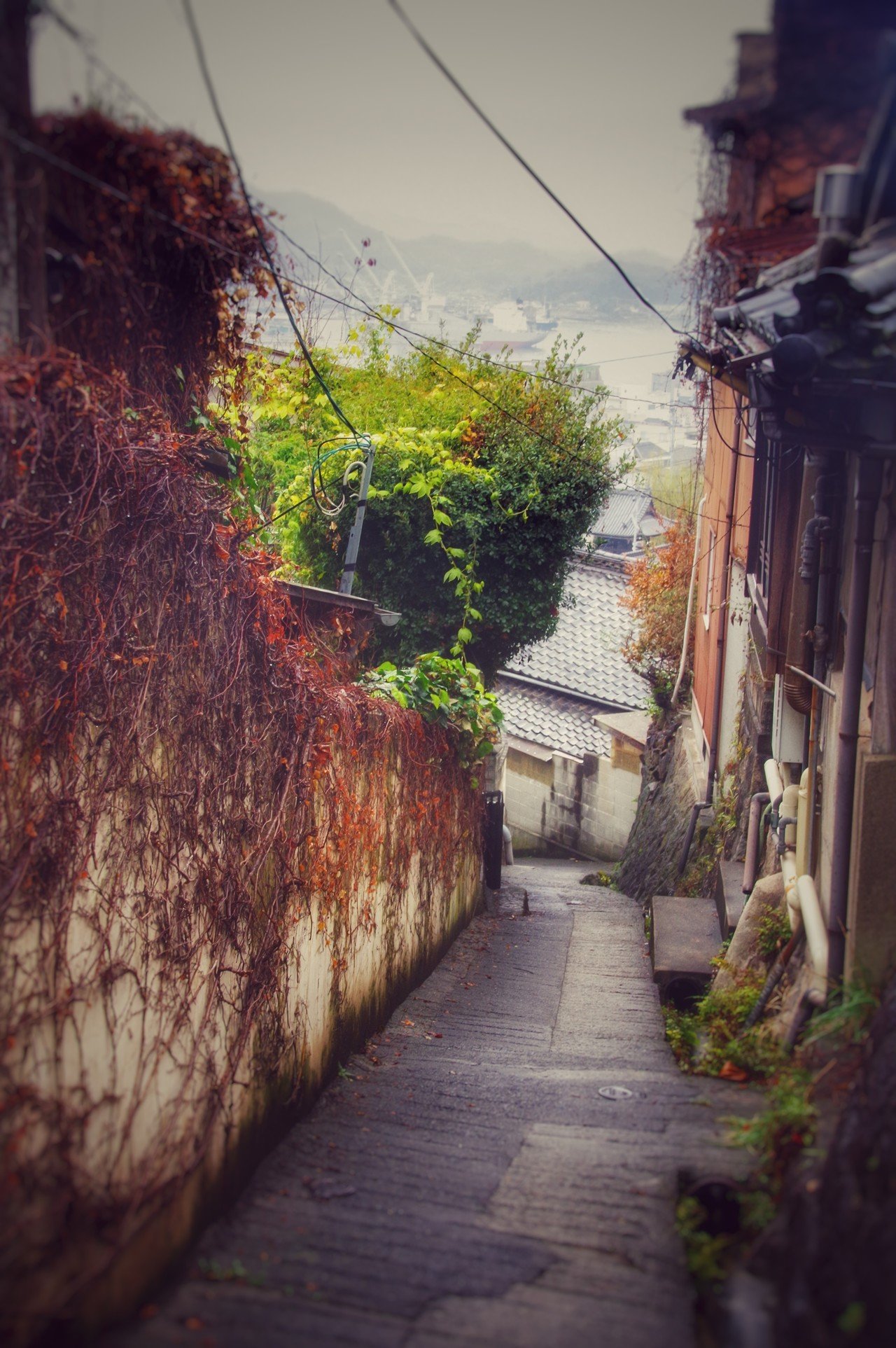 尾道 ゆーこ 名古屋県 Note