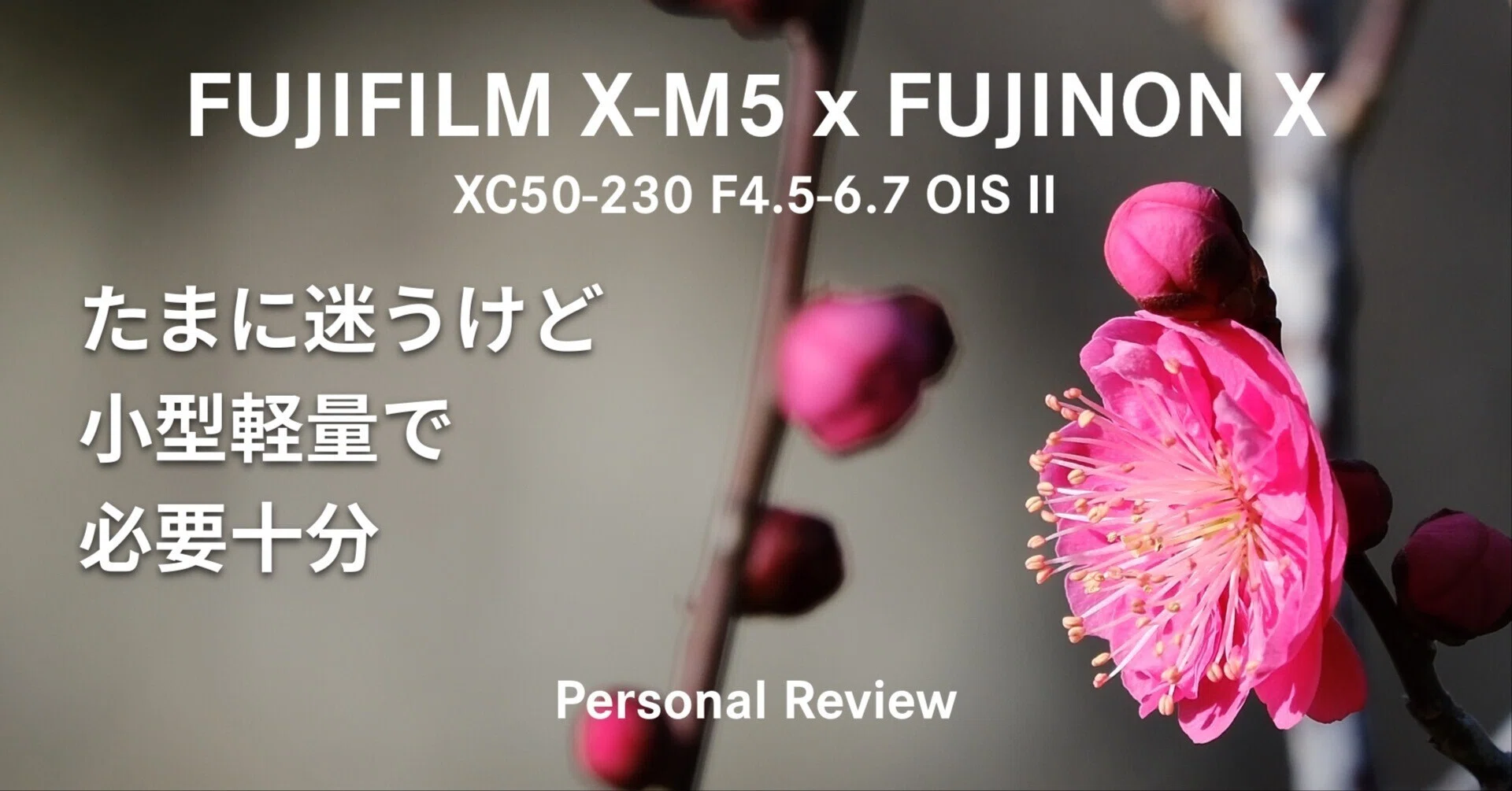 XC50-230 F4.5-6.7 OIS II レビュー｜Kenichi Masuo