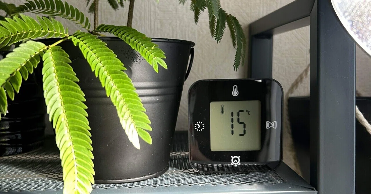 越冬植物等40鉢　まとめて譲渡 [引取限定] うちの植物たちの冬越し対策。鉢カバーとかマットとか。｜せりぽん