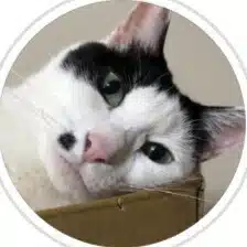 中村まろ