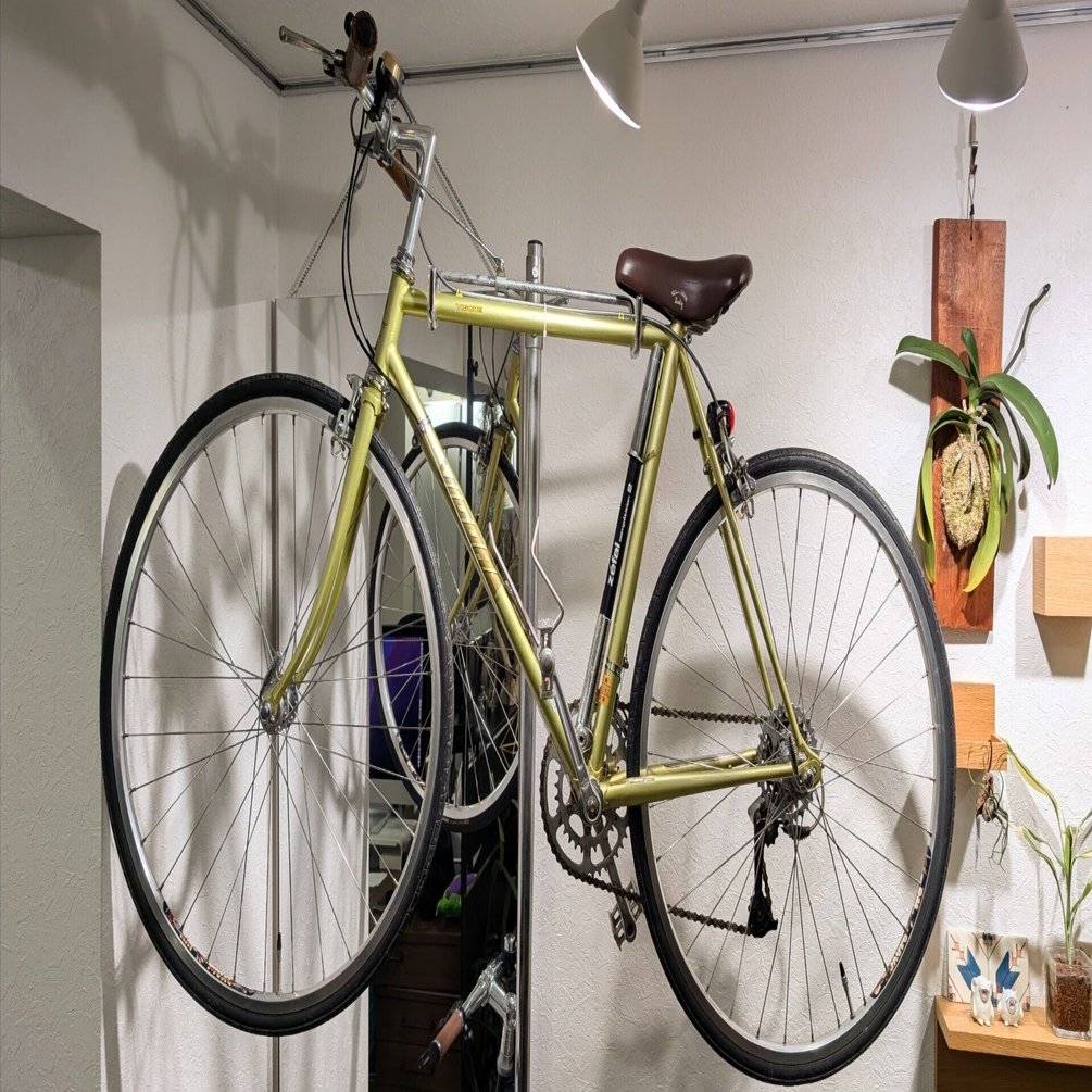 VIGORE』 PRODUCED BY KIYOSE と走り出すことになった｜ももねこ