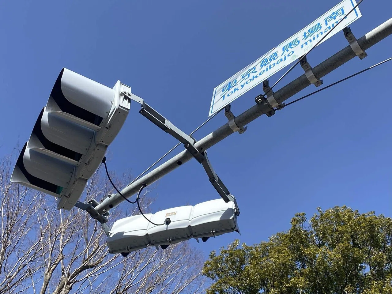 カノーサンポ 214 この信号の役割は？｜カノーサンポ