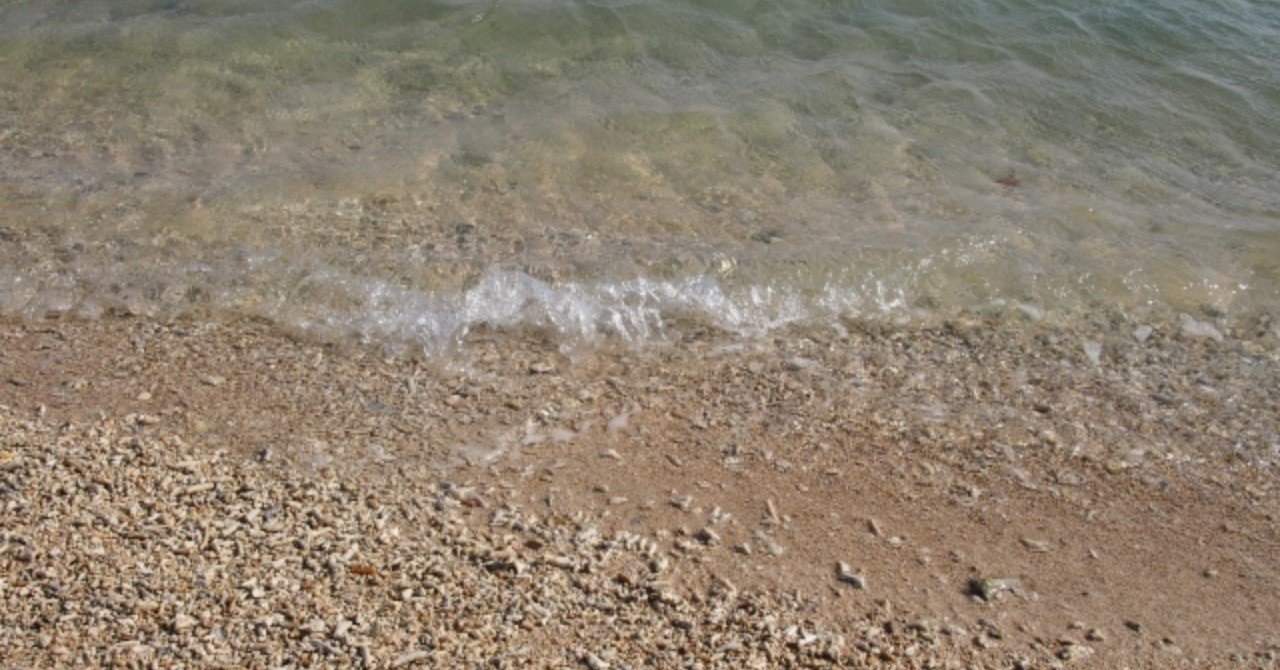 新春の海で貝殻を拾う 高尾トンビ Note 新春の海で貝殻を拾う 高尾トンビ Note