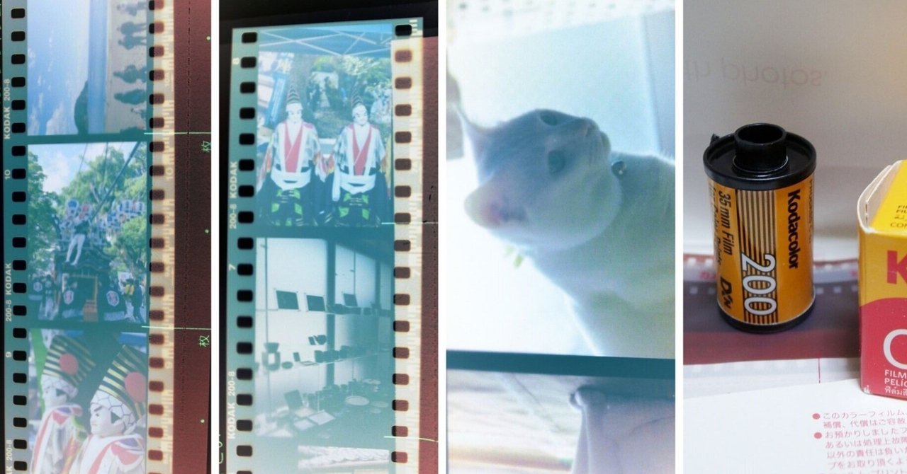 現像あがってきた。Kodak ColorPlus200 フィルム写真|PENTAX MZ 現像あがってきた。Kodak ColorPlus200 フィルム写真|PENTAX MZ