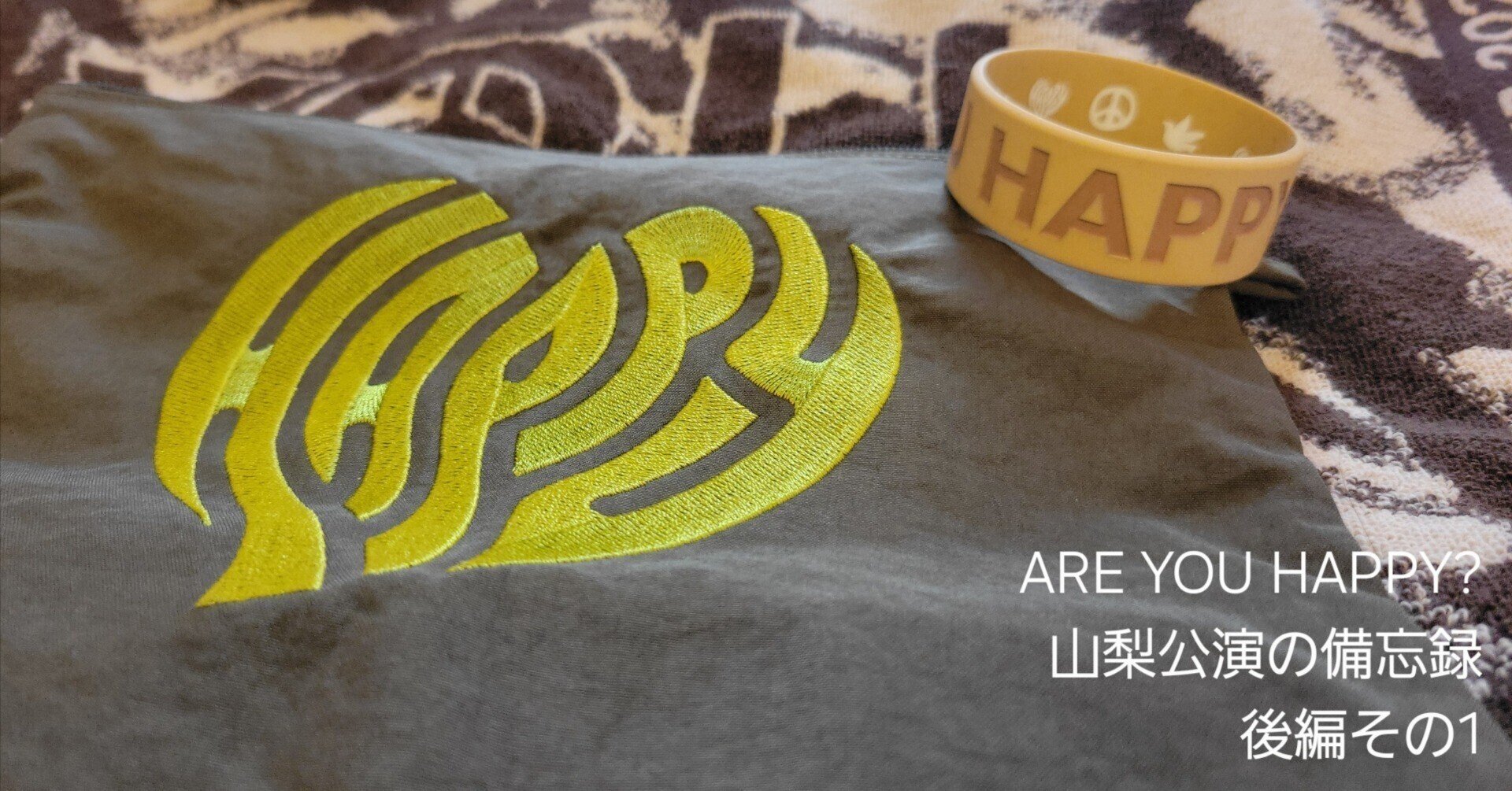 未開封】 高橋優 2014東北ライブハウス大作戦ツアー