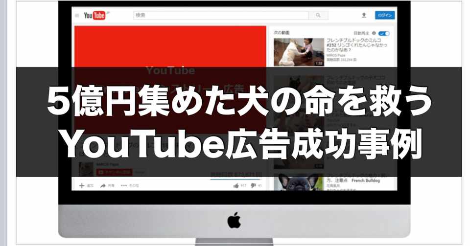 Youtube広告事例 5億円集めた犬の命を救う動画広告に感動 Kanta