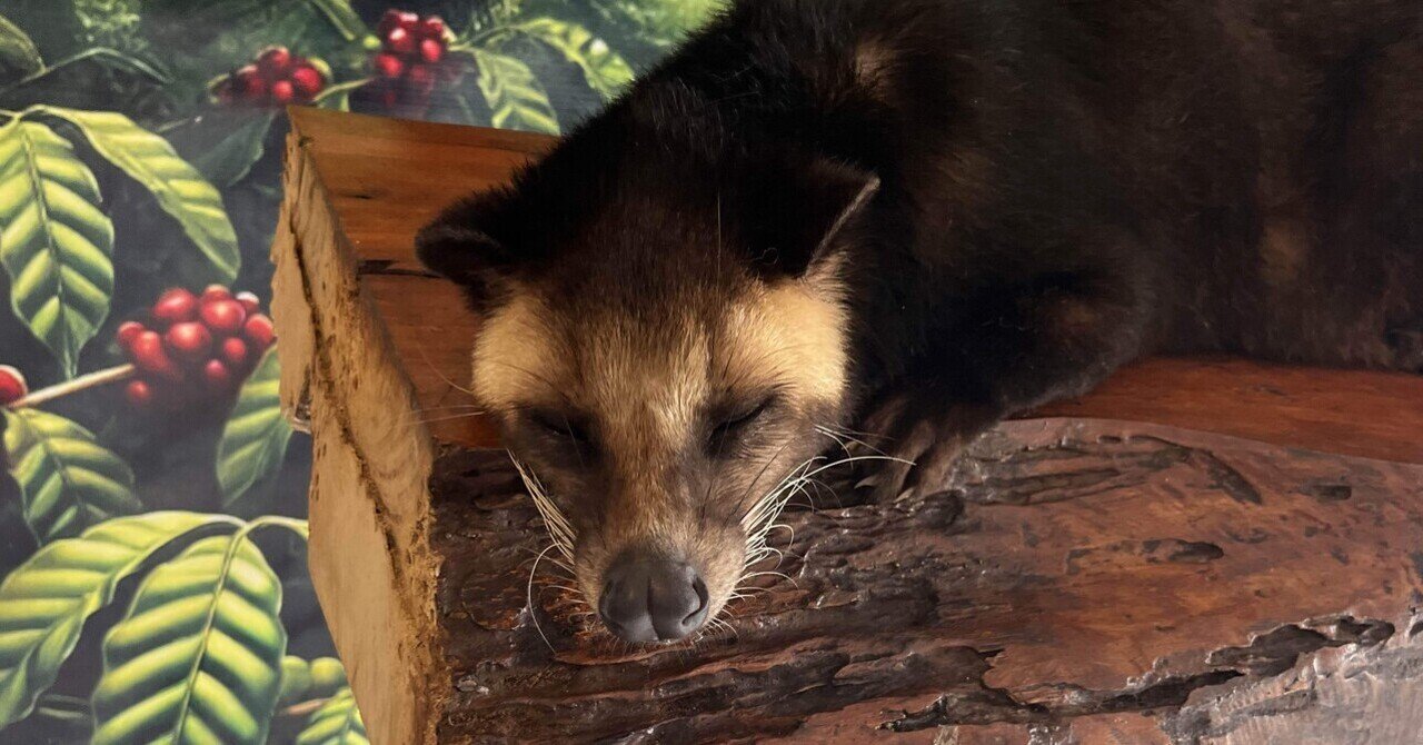 何もかもうまくいかなかったバリ島1人旅｜Kaho.Y
