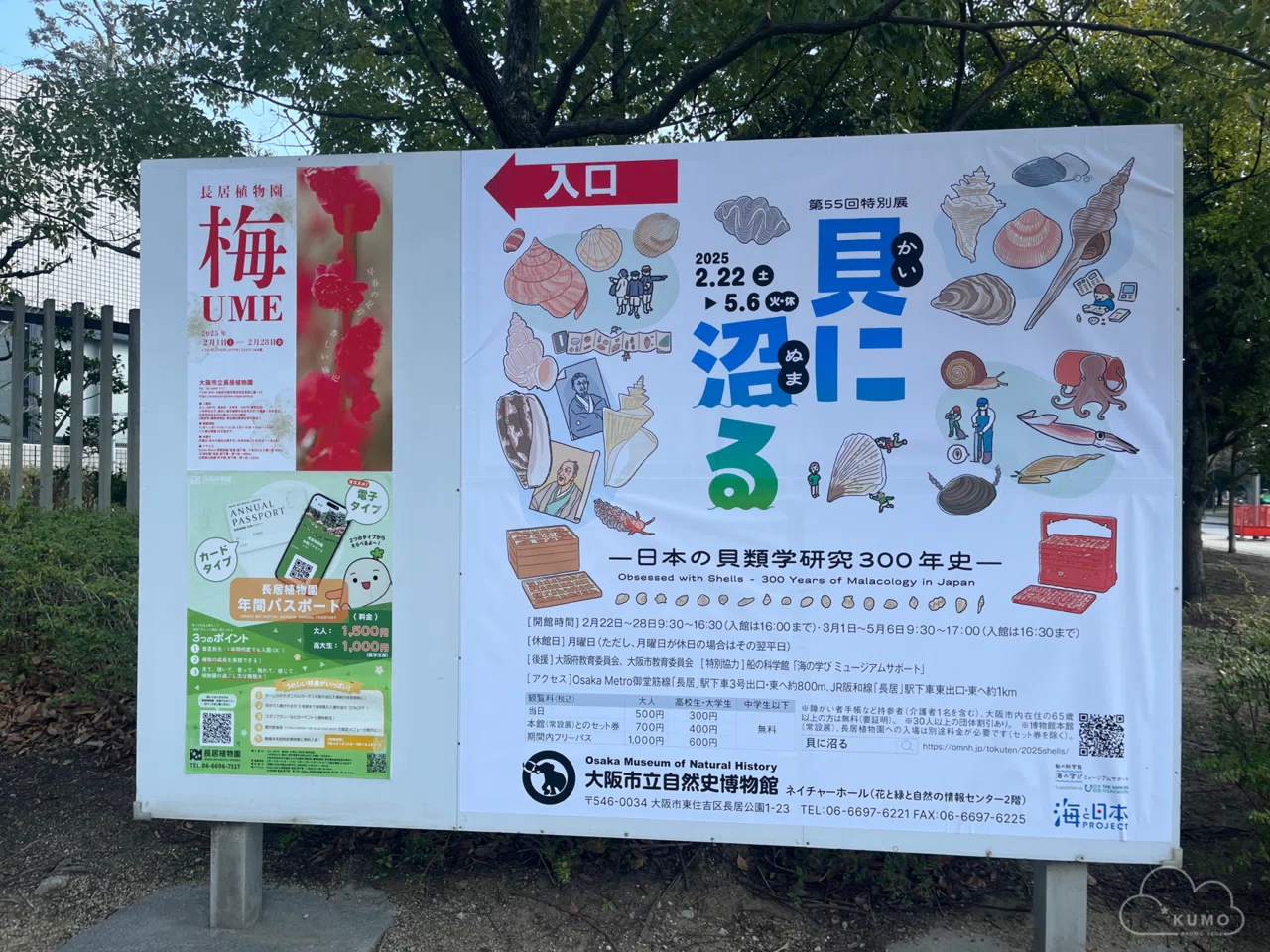 2/22 特別展「貝に沼る」@大阪市立自然史博物館｜くもさん