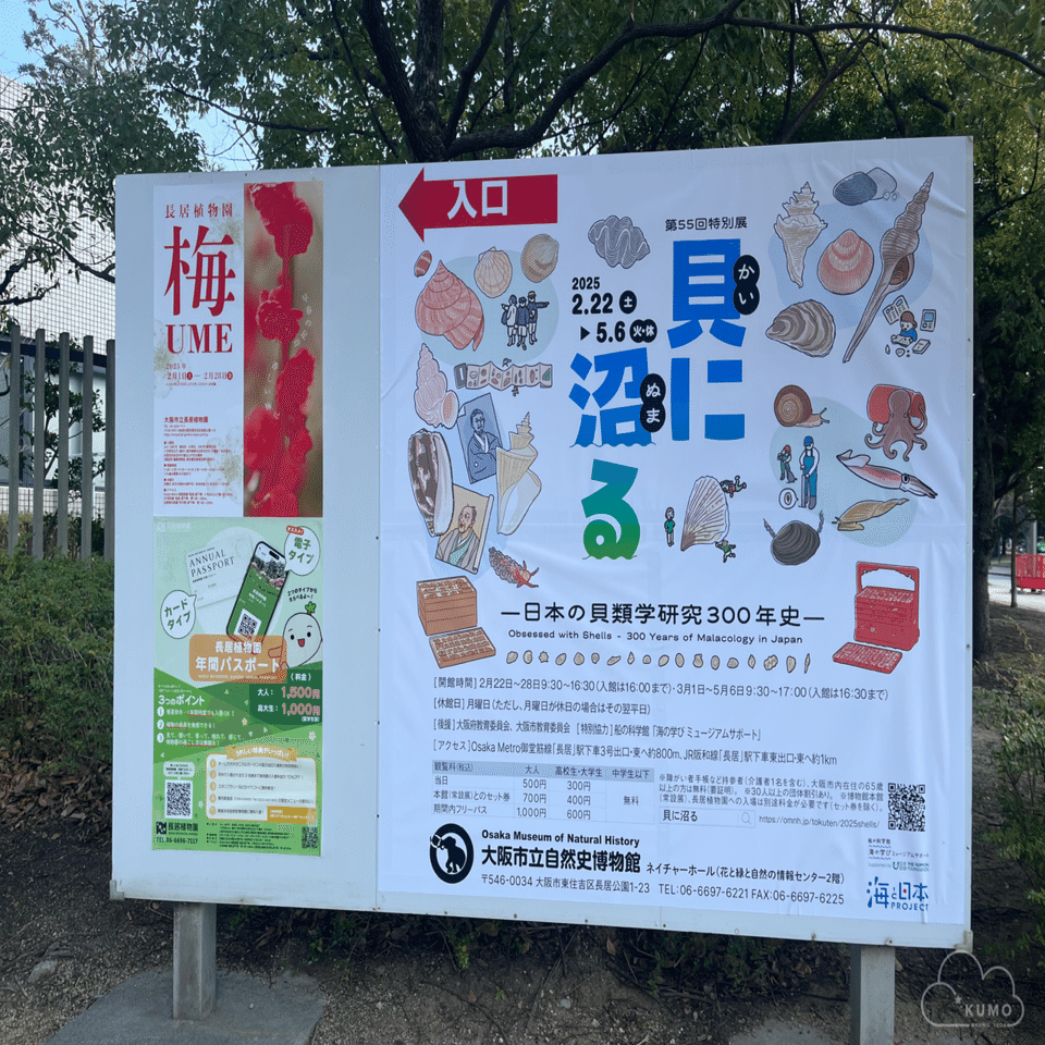 2/22 特別展「貝に沼る」@大阪市立自然史博物館｜くもさん