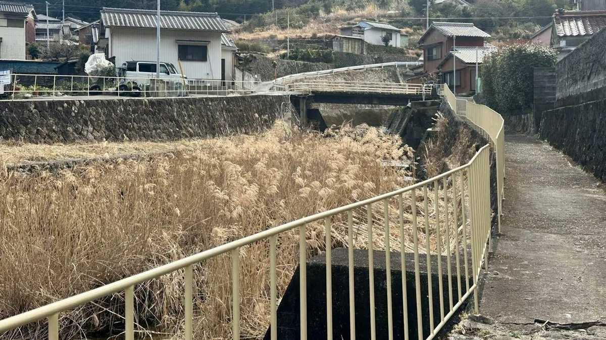 橋のモデル