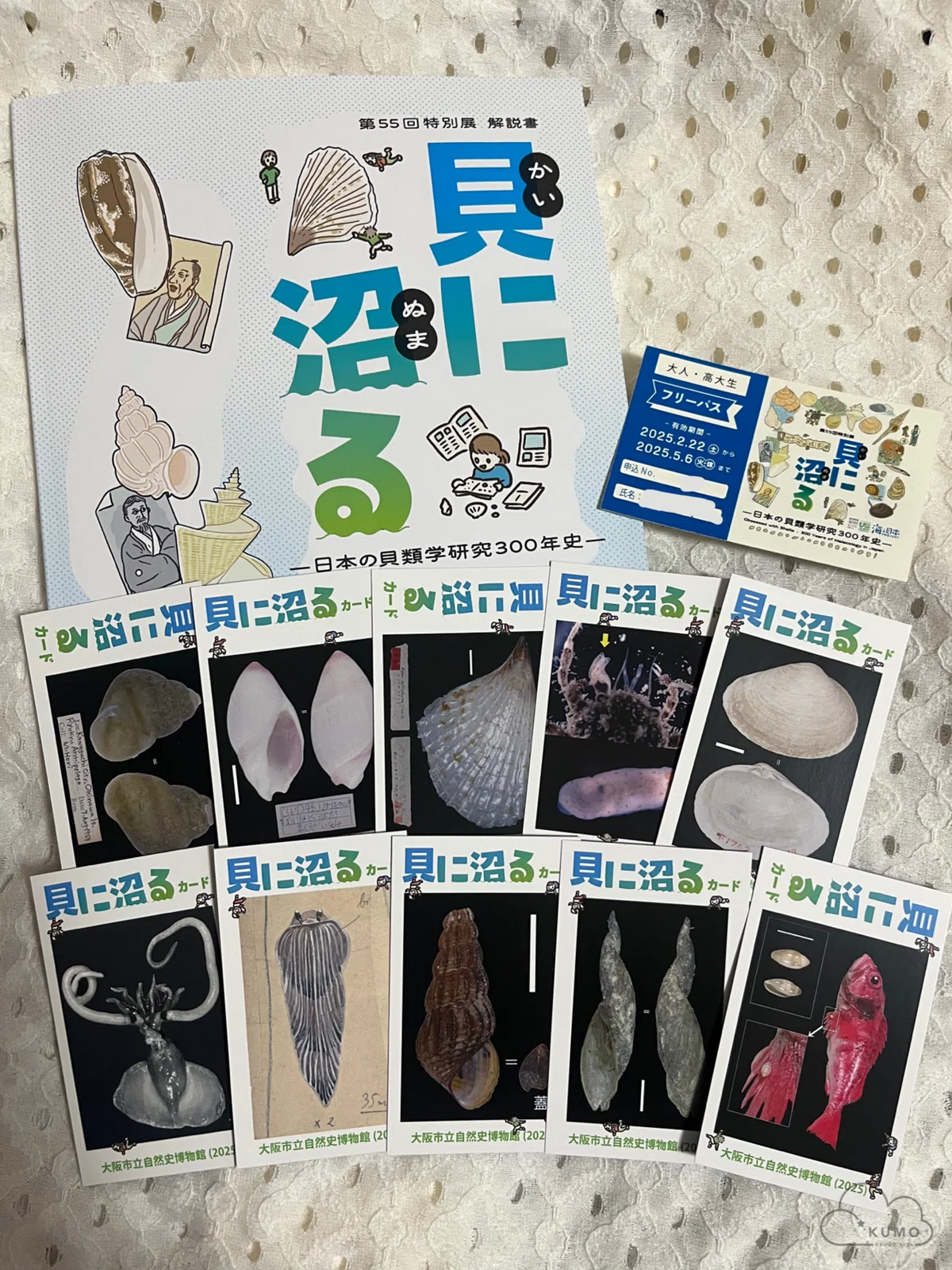 2/22 特別展「貝に沼る」@大阪市立自然史博物館｜くもさん