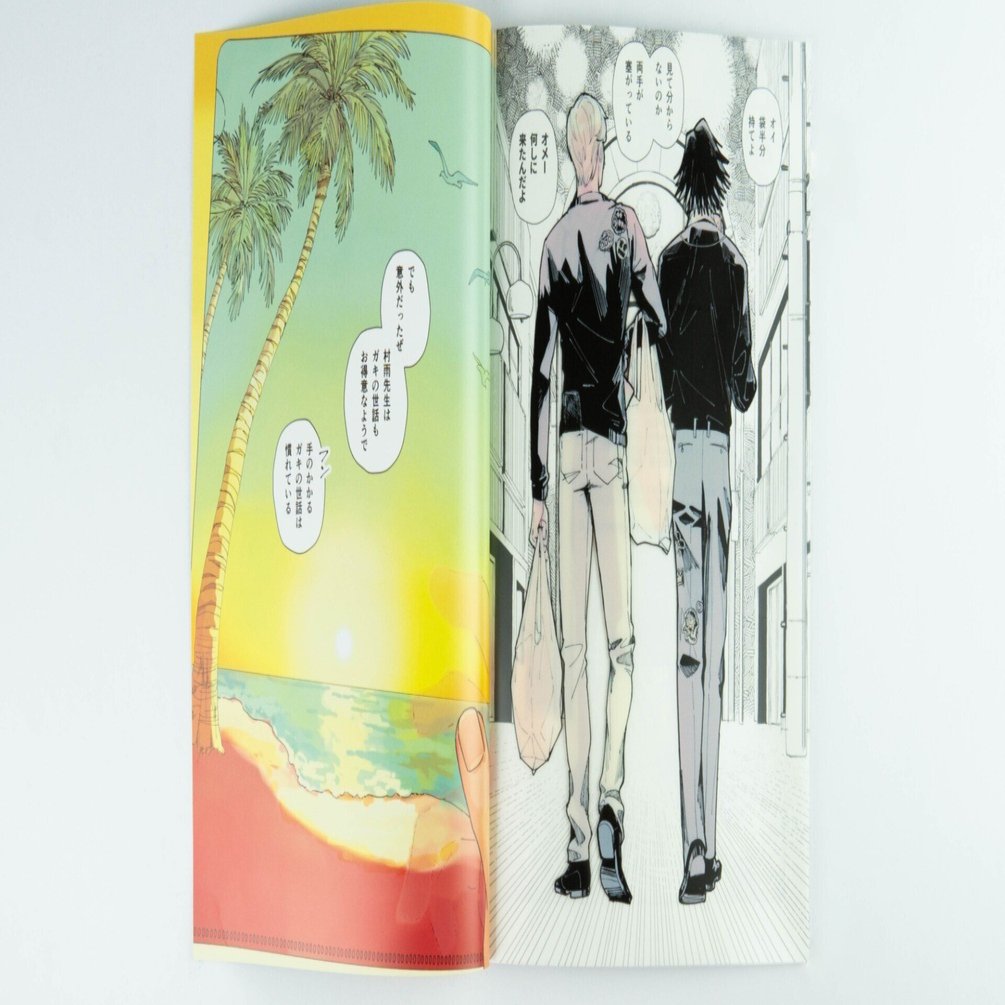 作品：36】同人誌の装丁：透明口絵の白押さえと表2.3印刷｜同人誌印刷