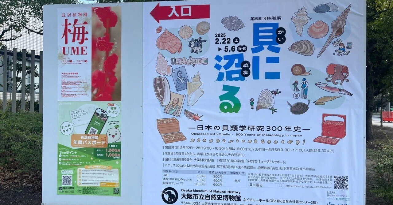 2/22 特別展「貝に沼る」@大阪市立自然史博物館｜くもさん