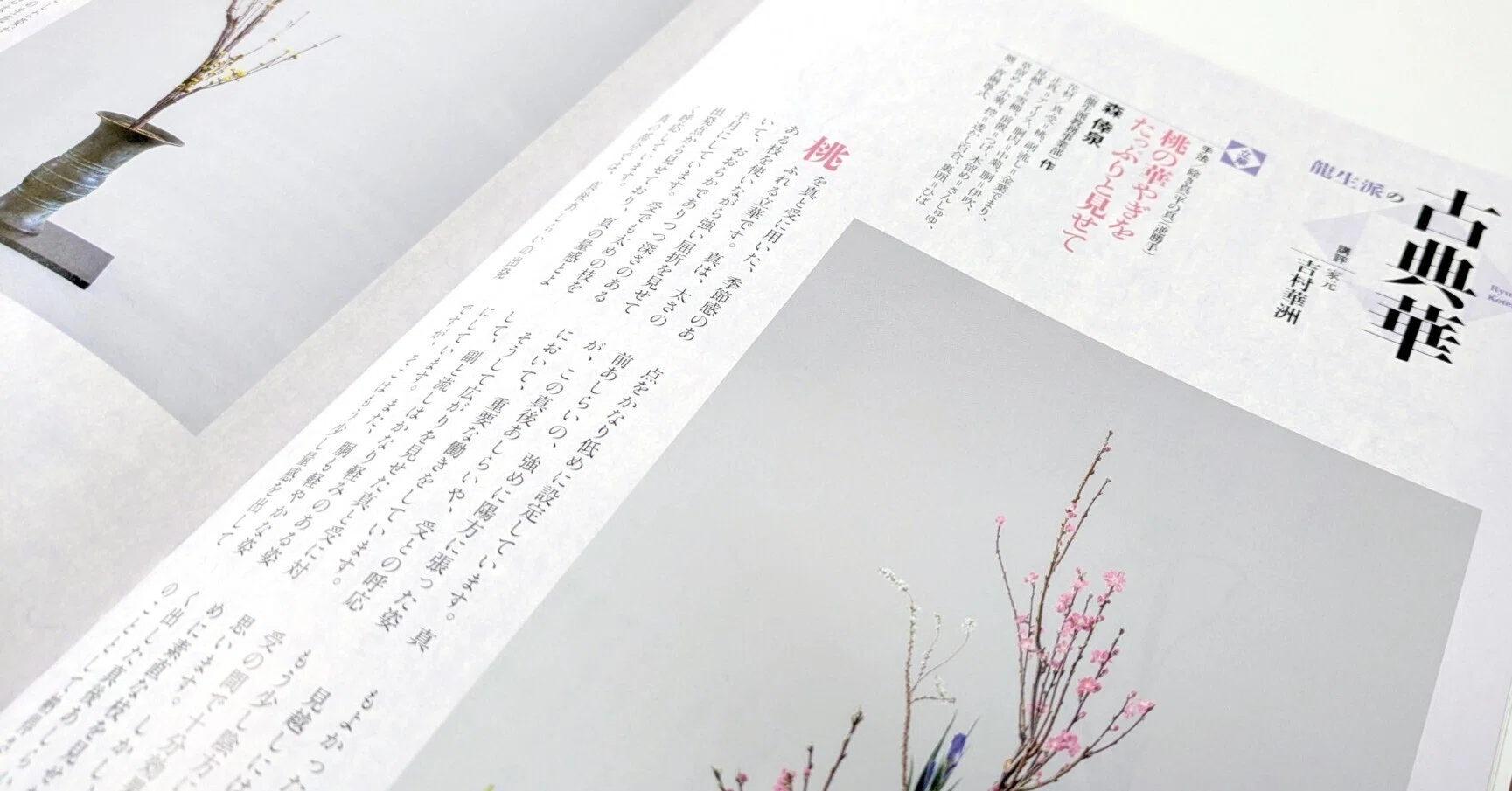 立華=桃の真の立華／生花=さんしゅゆの一種いけ（2025年3月号「龍生派