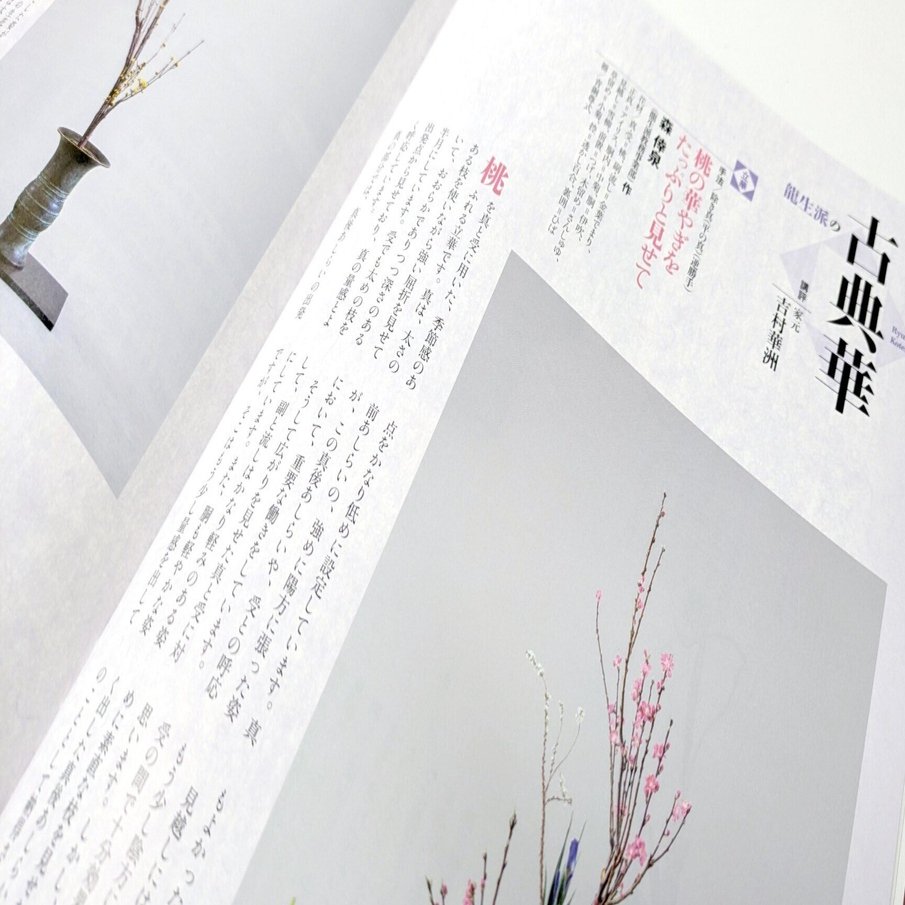 立華=桃の真の立華／生花=さんしゅゆの一種いけ（2025年3月号「龍生派